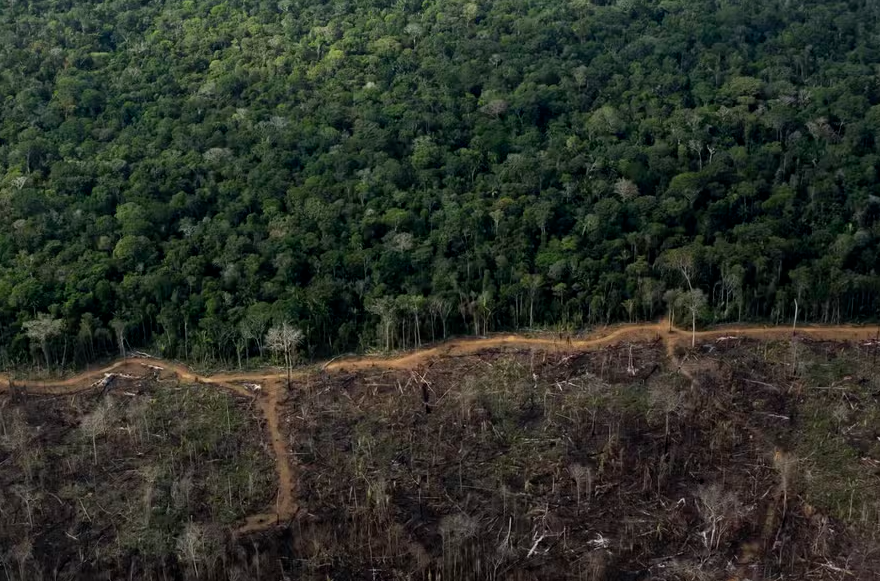 Novo atlas destrincha a Amazônia com dados