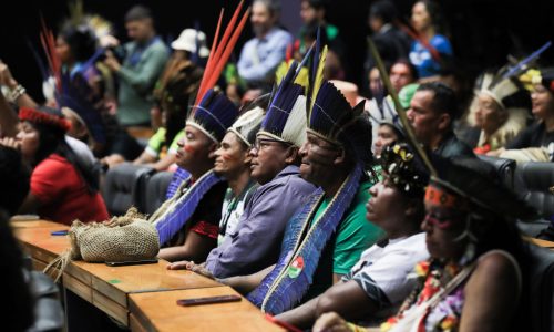 Senado tem seis projetos para sustar medidas que beneficiam povos indígenas