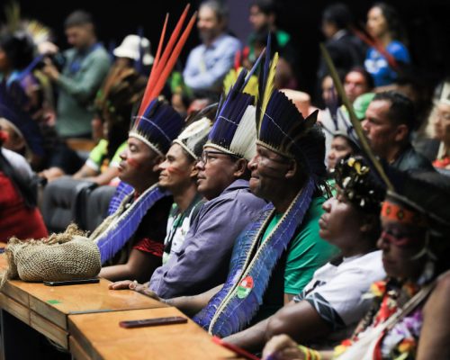Senado tem seis projetos para sustar medidas que beneficiam povos indígenas