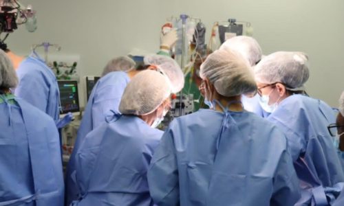 Gêmeas siamesas de Manaus passam por cirurgia de separação em Goiânia