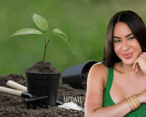  Festival da Cunhã: Isabelle Nogueira fará plantio de mais de 700 árvores na Amazônia