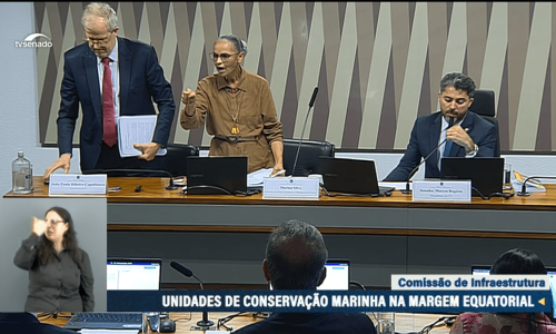 Marina abandona sessão no Senado após discussão com senador do Amazonas