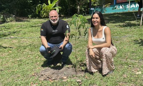 Isabelle Nogueira planta mais de 750 árvores nativas em área de desmatamento na Amazônia