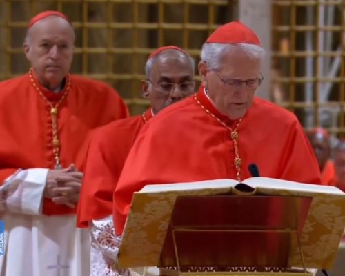 Dom Leonardo Steiner faz história no Conclave como primeiro cardeal do Amazônia