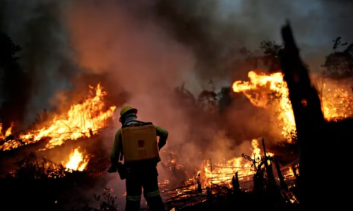 Focos de calor no Amazonas têm queda de 37,5% em maio de 2025