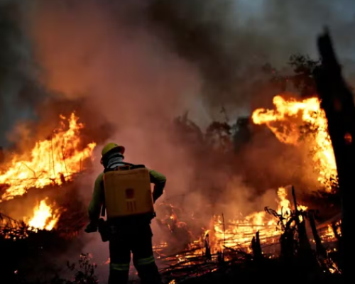 Focos de calor no Amazonas têm queda de 37,5% em maio de 2025