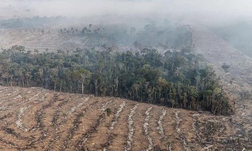 Ibama terá R$ 825,7 milhões para combater desmatamento ilegal na Amazônia