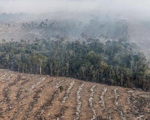 Ibama terá R$ 825,7 milhões para combater desmatamento ilegal na Amazônia
