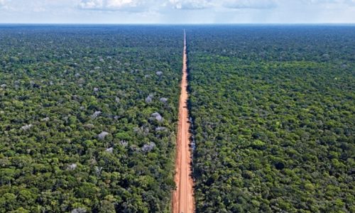 STJ marca audiência para discutir pavimentação da BR-319