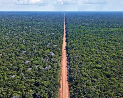 STJ marca audiência para discutir pavimentação da BR-319