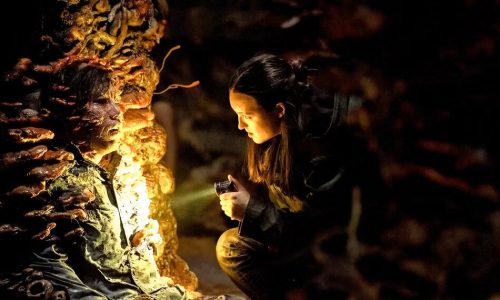 Crítica | The Last of Us – Temporada 2, Episódio 5: A violência como herança e o abismo de Ellie